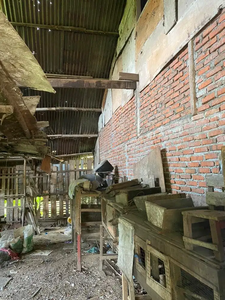 Jual kayu, seng, kandang ayam