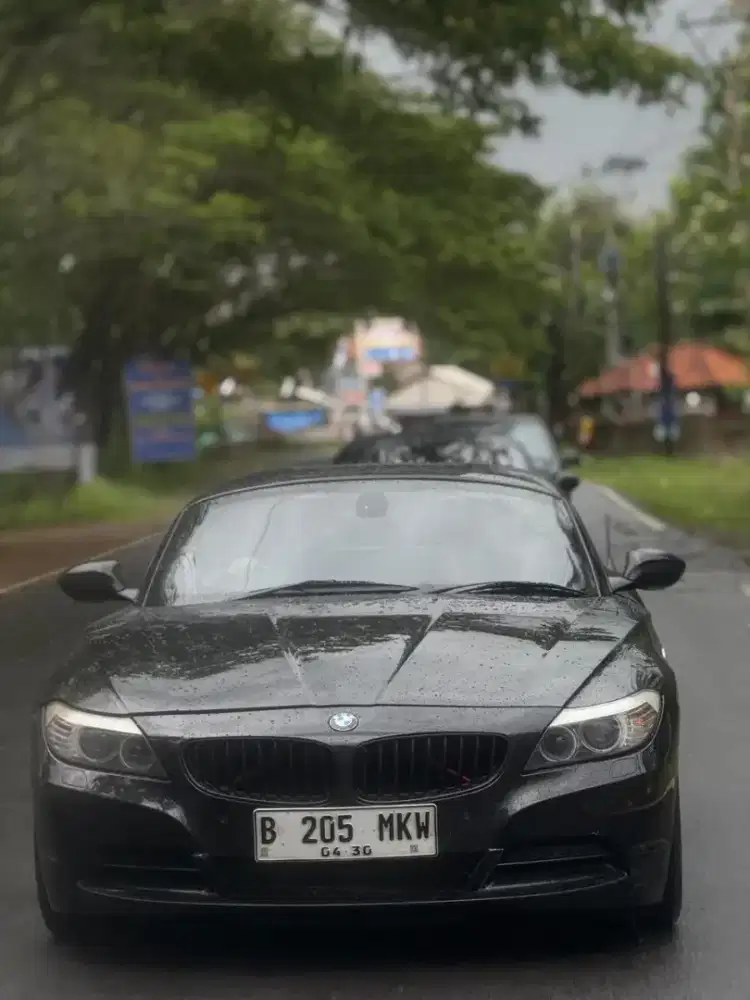 BMW Z4 sDrive35i (N54 Twin Turbo) 2010