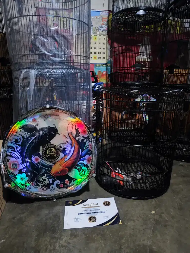 Sangkar Murai Ebod Pvc Decal Hologram Terbaru