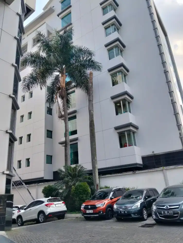 Jasa tebang pohon dan potong rumput