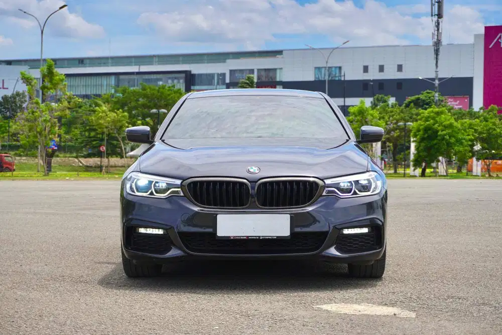 BMW 530i G30 MSport B48 2019 / 2020