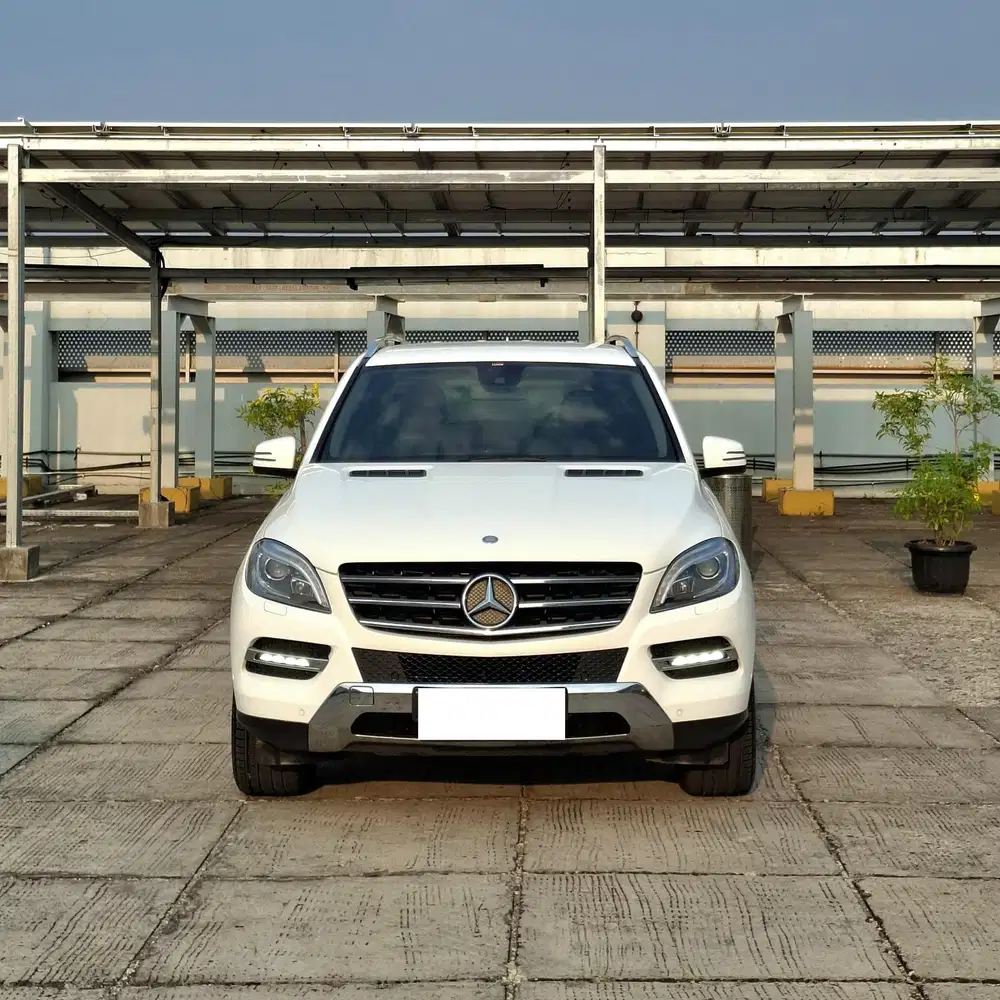 MERCEDES-BENZ ML250 AT 2014 SOLAR
