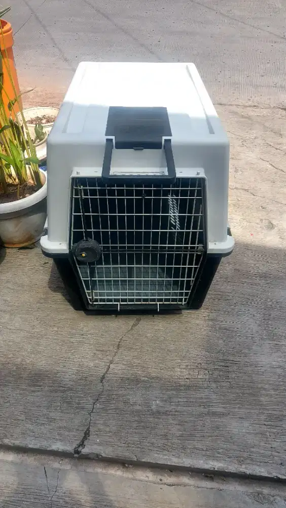 Kandang Anjing Bekas