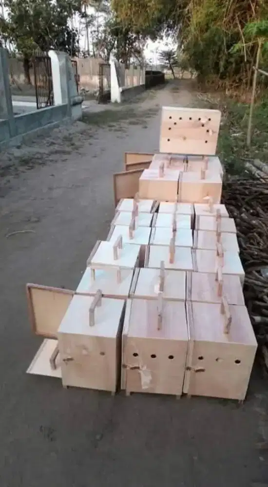 box pengiriman untuk berbagai jenis hewan