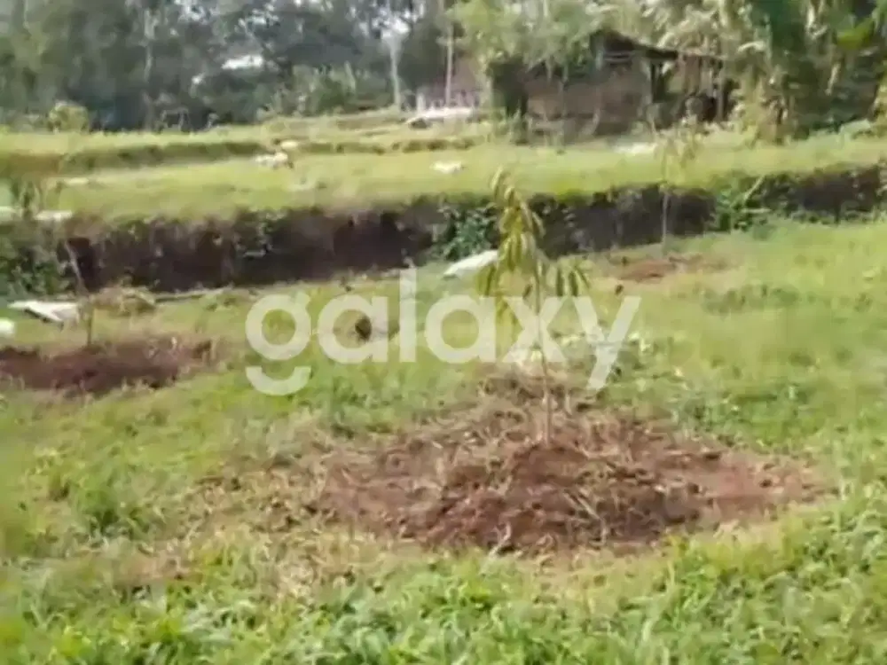 TANAH BURUAN PENATAHAN PENEBEL TABANAN, BALI