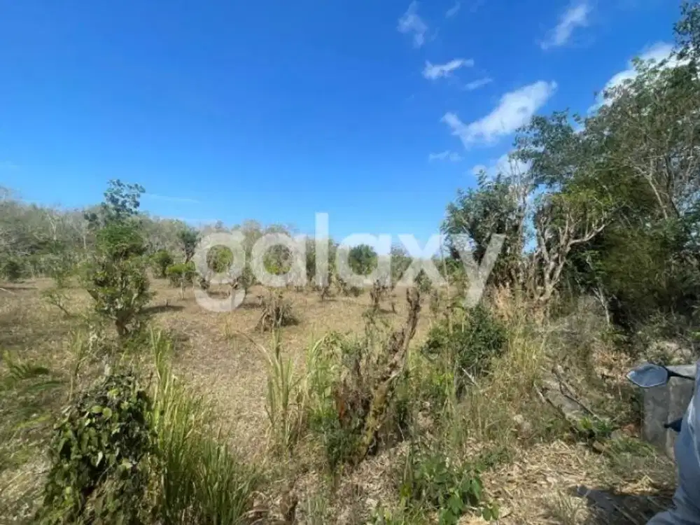 TANAH KOMERSIL BELAWAH KANGIN PECATU BADUNG, BALI