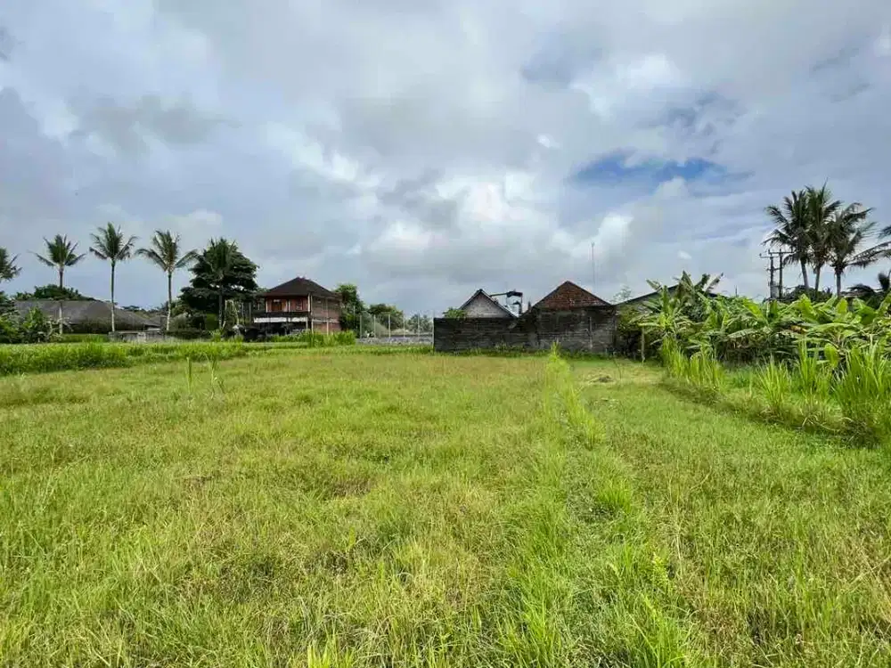 Dijual Tanah 10 Are Pejeng, Ubud