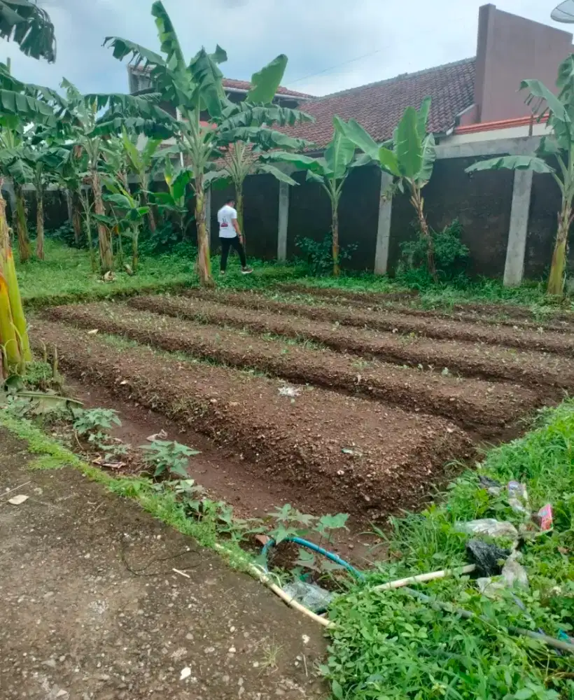 JUAL KAVLING SIAP BANGUN MURAH JUAL BUTUH