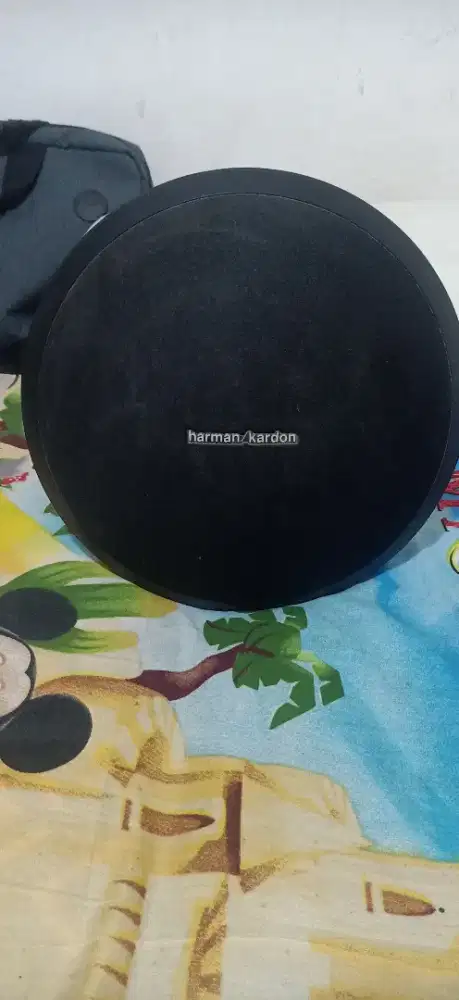 Harman Kardon onyx studio