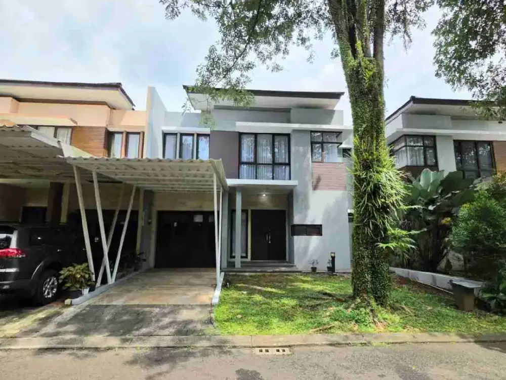 Ritzone The Icon BSD