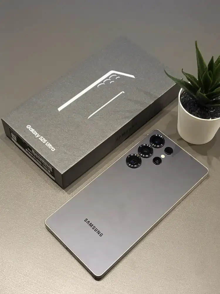 Samsung S25 Ultra 12/1TB sein