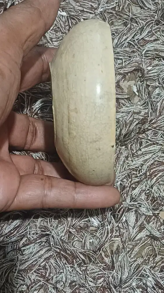 Mangkok sambel dinasty song penemuan galian