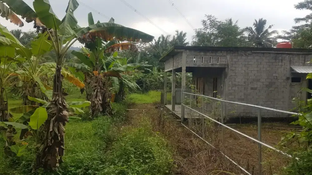 Jual Tanah Sangat Murah Strategis Di Ungaran