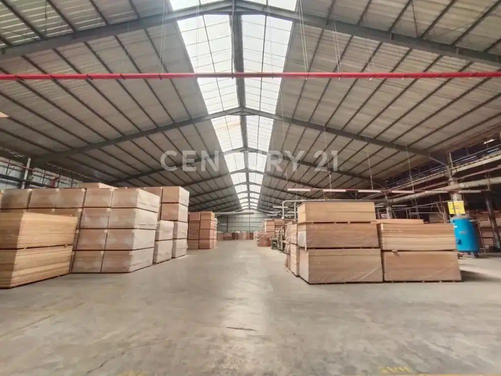 DIJUAL PABRIK KAYU STRATEGIS DAN SIAP PAKAI DI JEMBER