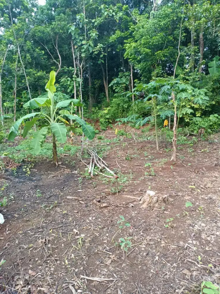 Dijual cepat tanah 1991 M2 SHM