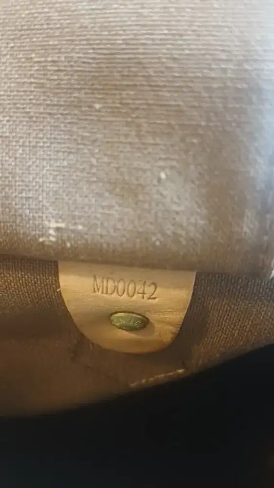 Louis Vuitton Clasic model Speedy