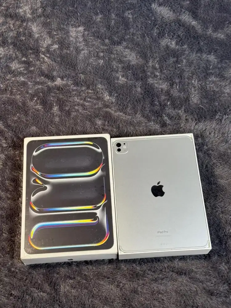 ipad pro m4 256gb wifi cell inter