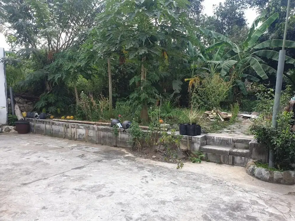 Butuh uang lokasi joyogrand dekat brawijaya UIN UNisma Dinoyo