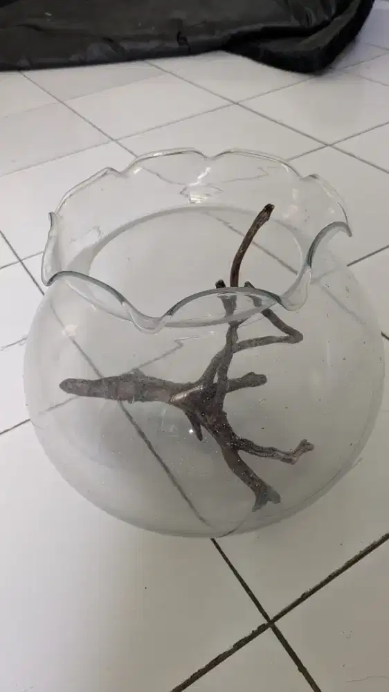 Akuarium + aksesoris pohon