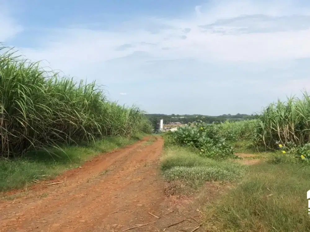 Tanah Industri Sangat Luas Dekat Kitb Sawangan Gringsing Batang
