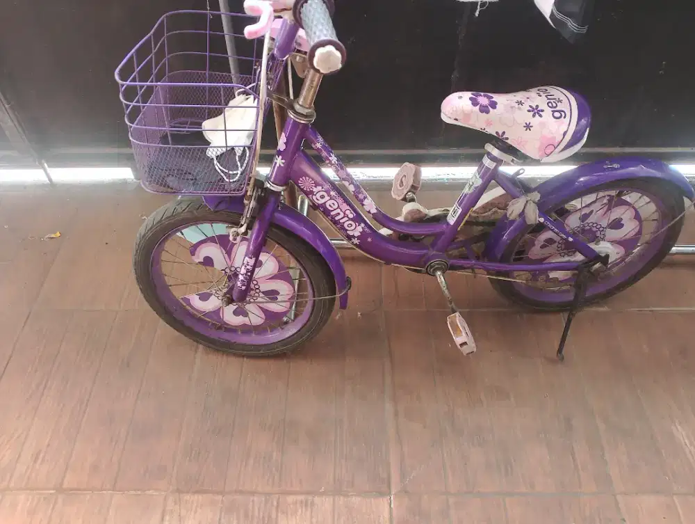 Sepeda anak Genio 16