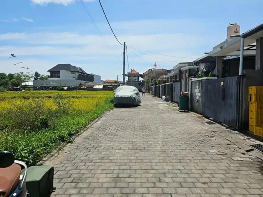 Premium Land Plots Yellow Zone For Sale In Imam Bonjol, West Denpasar