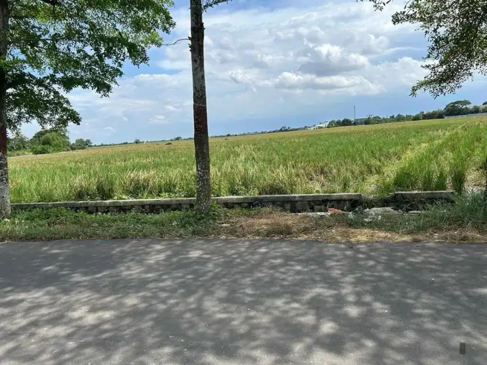 Tanah Strategis Pinggir Jalan Cocok Untuk Perumahan Atau Ladang Produktif Di Sukakarya Kabupaten Bekasi Jawa Barat