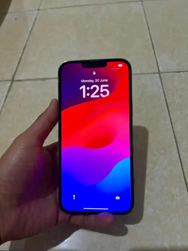 Iphone 13 Pro Max 128Gb