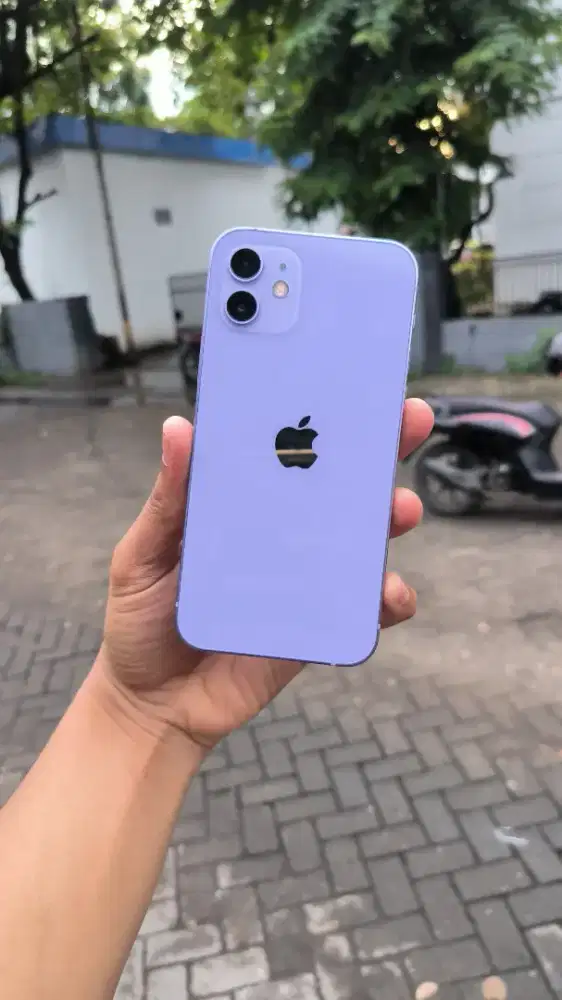 Iphone 12 purple 64gb