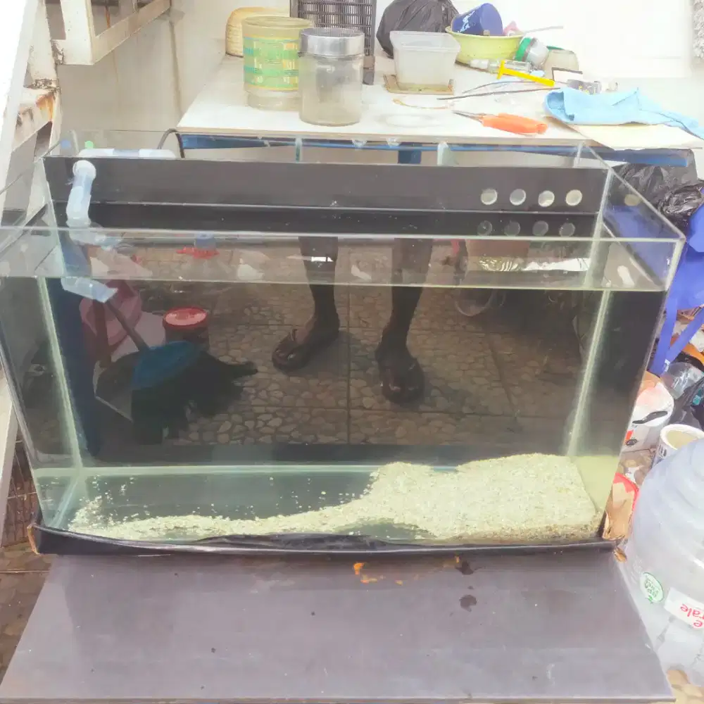 Tank ikan kaca lengkung lengkap
