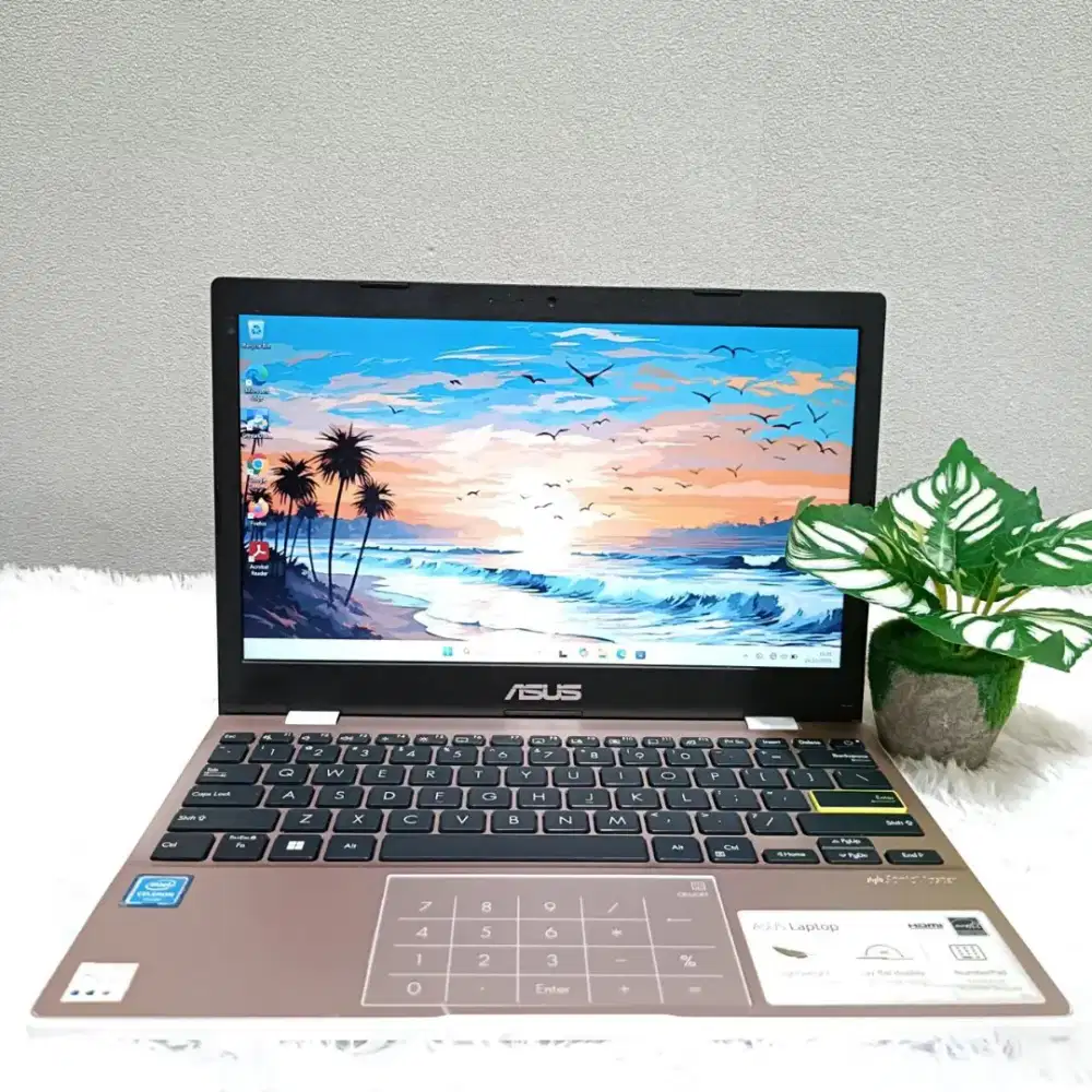 ASUS E210MA INTEL N4020 RAM 4GB SSD 256GB LAYAR 12.0 INCH WARNA PINK
