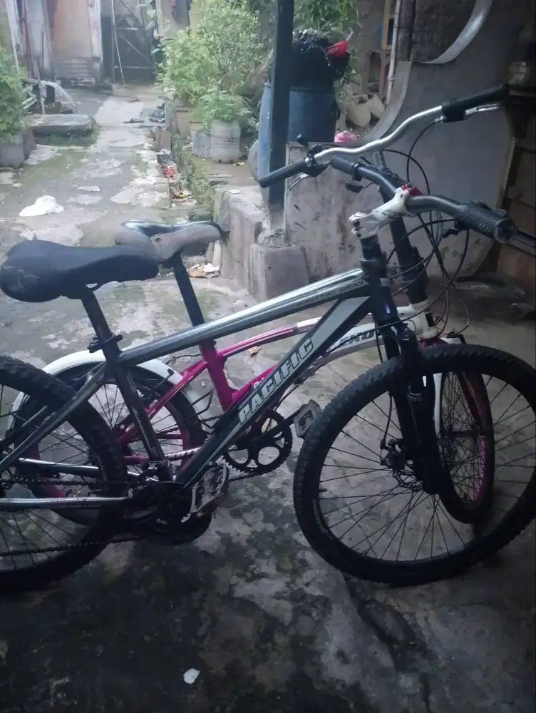 sepeda siap pakai - pacific