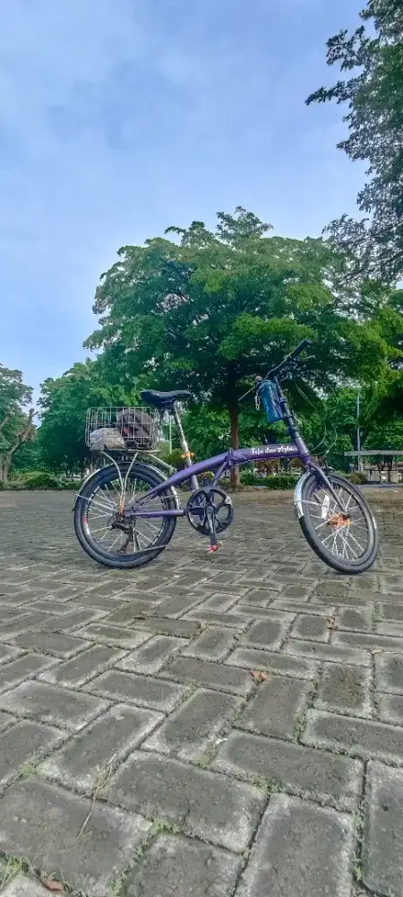 Seli pacific UK 20 full upgrade