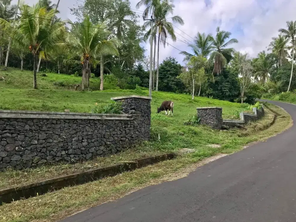 Dijual Tanah Paling Murah Termurah Tabanan Bali View Bagus Untuk Villa