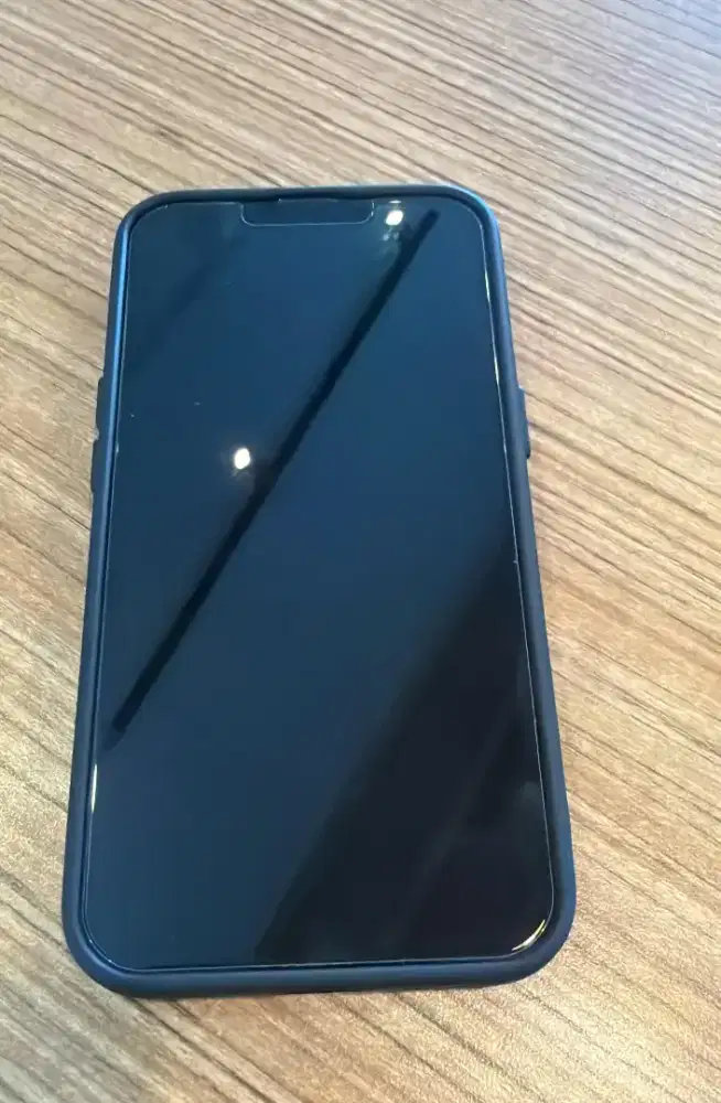 Jual HP Iphone / Ram 256