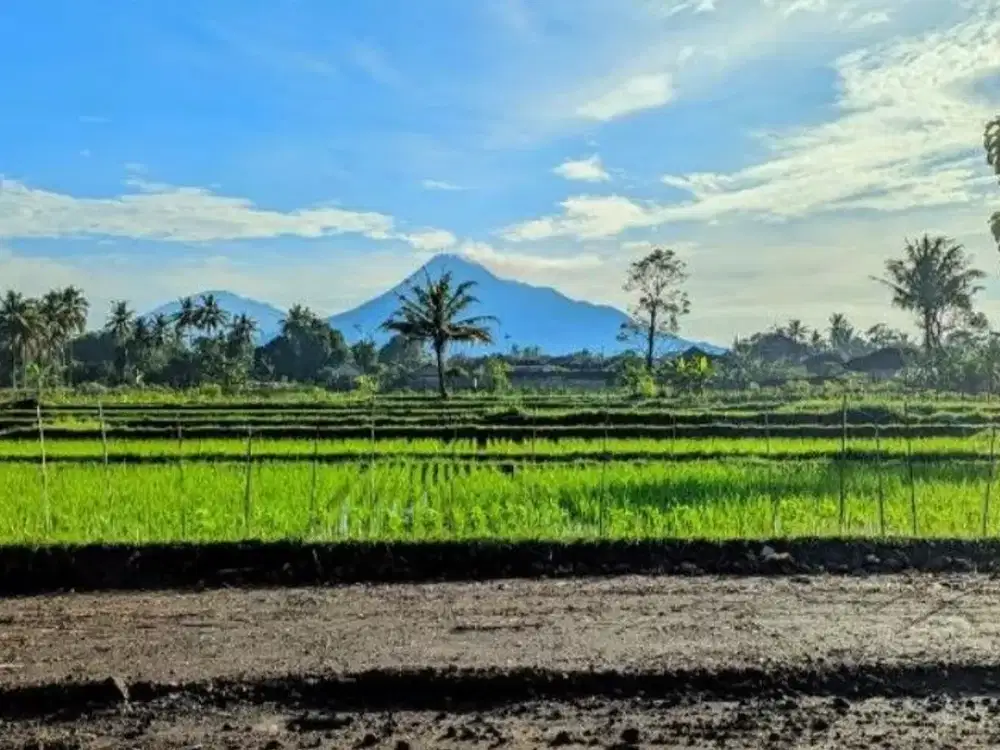 Dijual Tanah SHM di Pandowoharjo, Siap Bangun