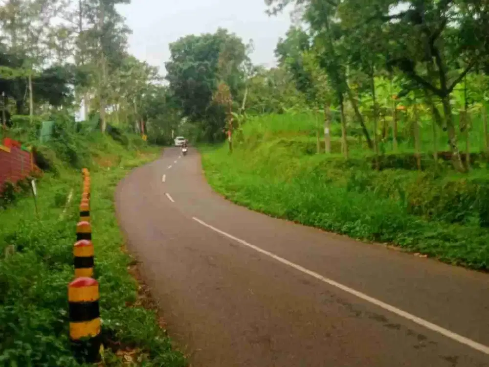 TANAH KEBUN DUREN LOKASI TUTUR NONGKO JAJAR PASURUAN