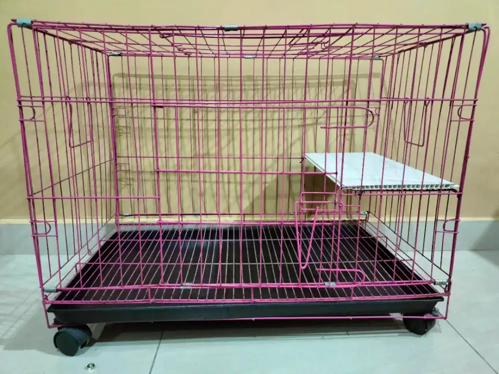 Dijual kandang kucing siap pakai, masih bagus semua,