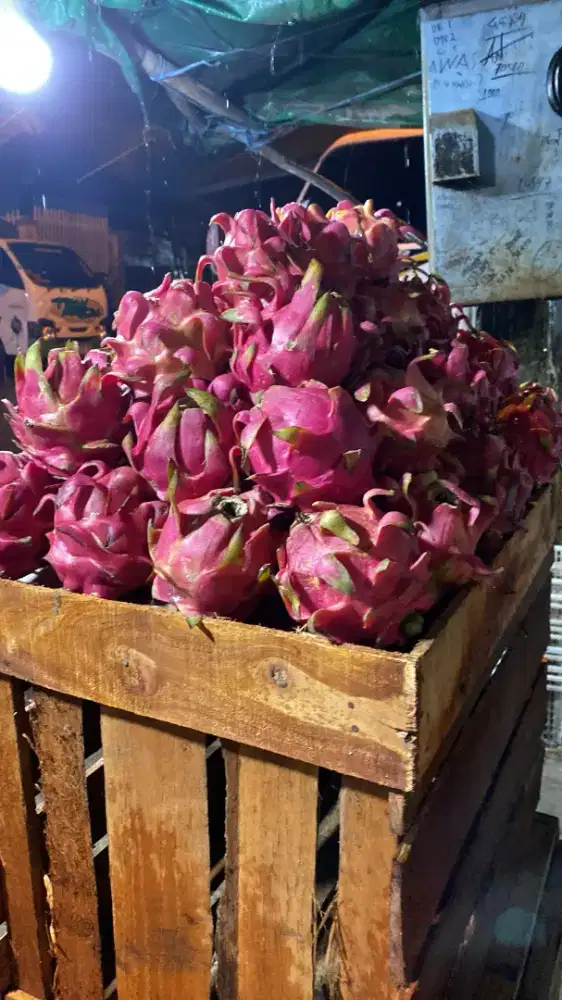 karyawati jaga toko buah