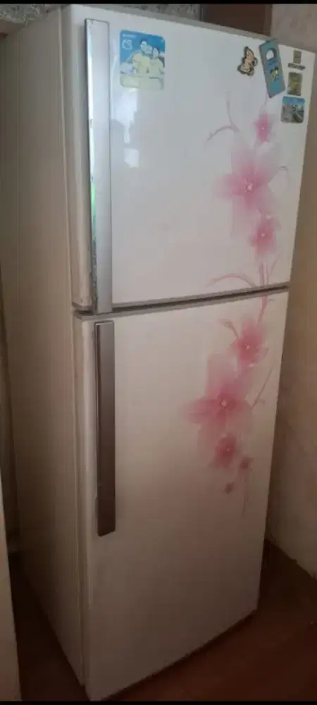 Kulkas sharp 2 pintu