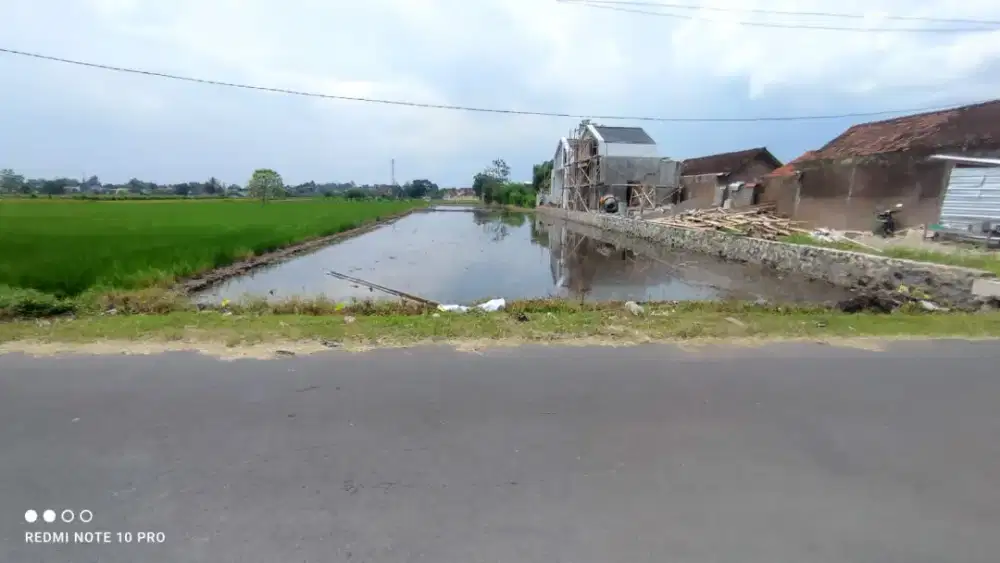 Djual Tanah Sawah Di Timur Calon Polda Sidokarto Godean Sleman