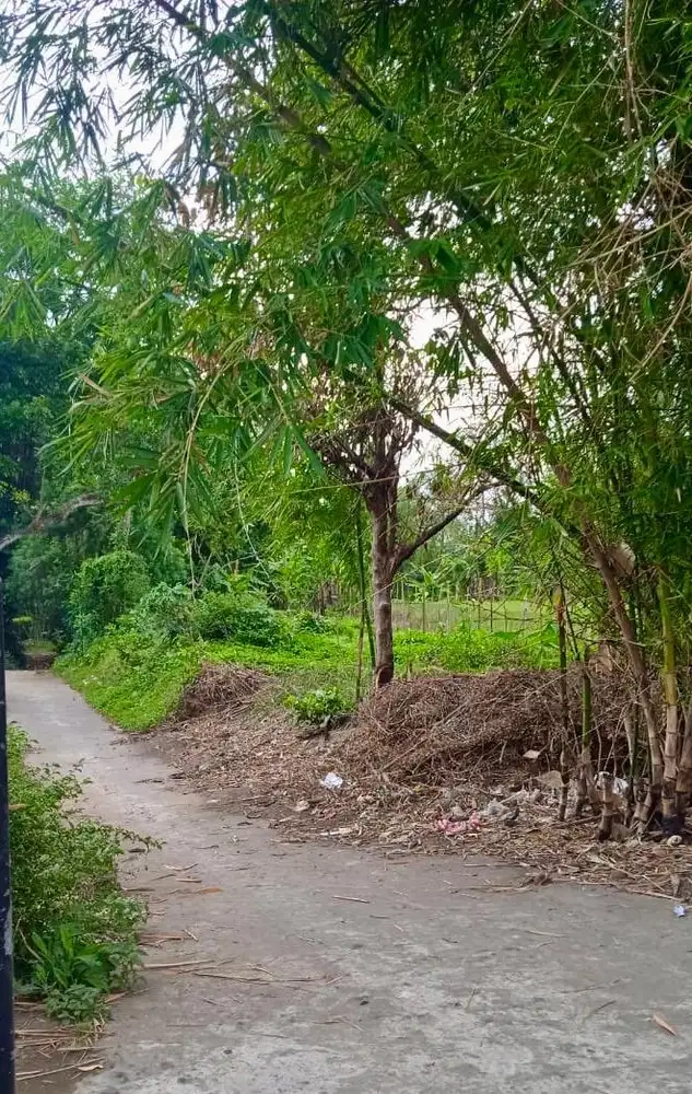 Dijual Sebidang Tanah