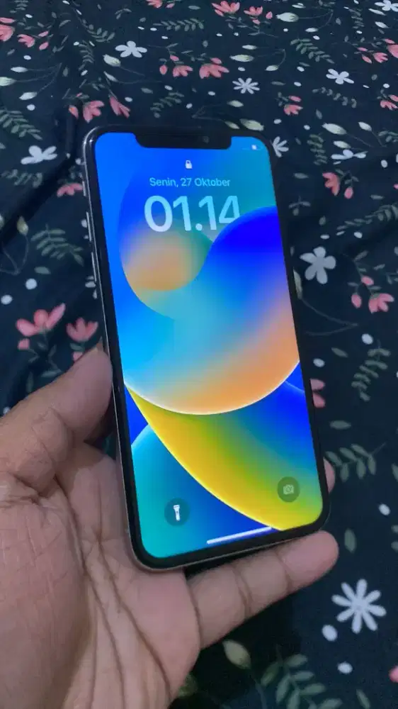 iPhone X 256GB Unit Only