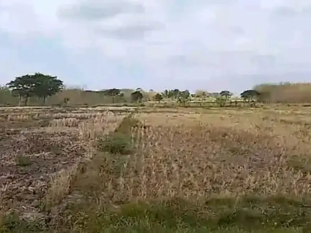 Dijual Lahan Industri Lokasi Klaten  Luas 19 Ha