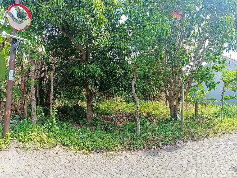 TANAH TENGAH KOTA BANYUWANGI  5 MENIT DARI  UNTAG , RAMAYANA DAN ROXY