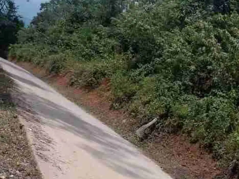 Tanah murah pinggir jalan besar pas untuk invest 2,3 ha SHM di Purbalamo-Lembah Sorik Marapi-Mandailing Natal-Sumut. 04