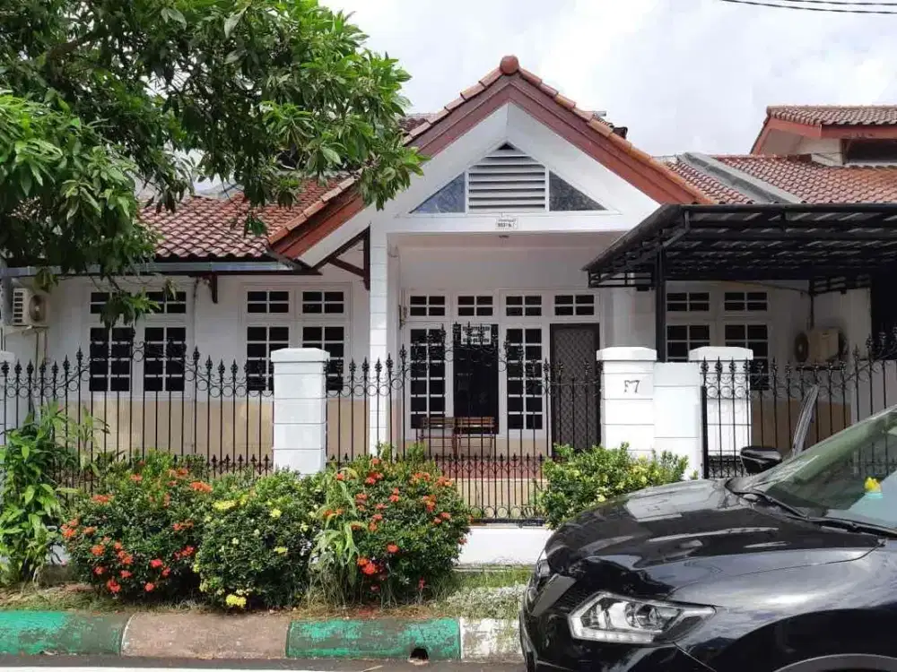 KOMP CHRYSANT PANAKUKANG