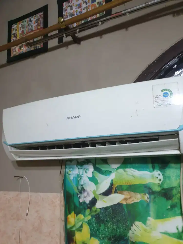 ac sharp 1/2 pk low watt