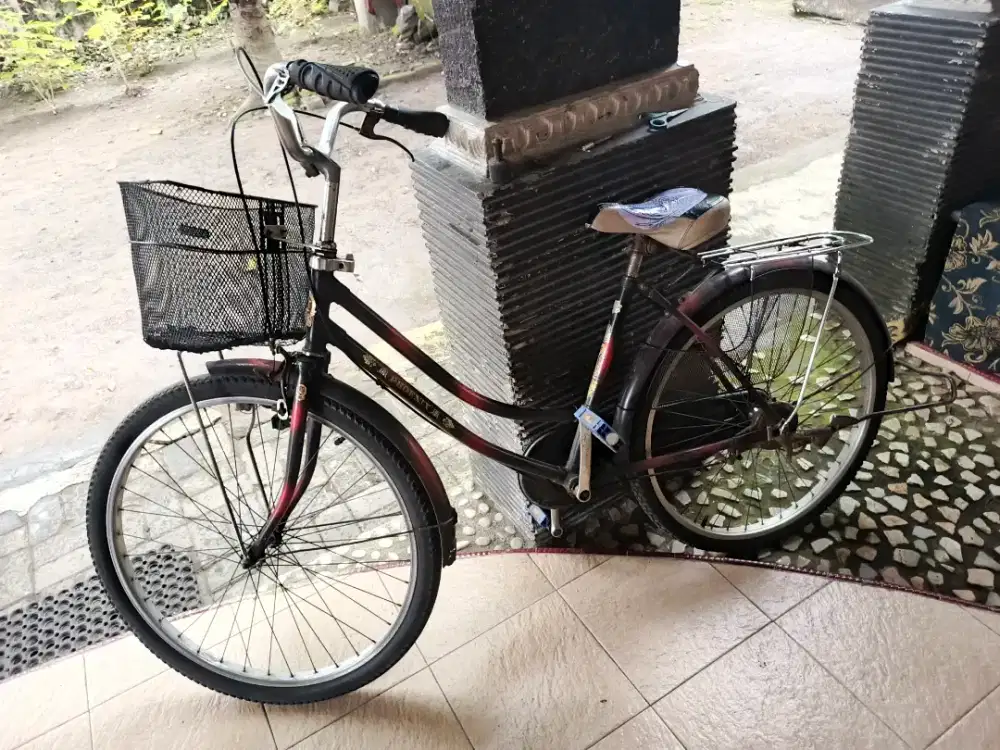 Sepeda Phoenix bekas