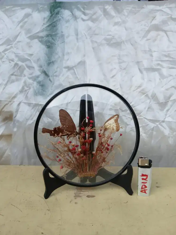 Framed Butterfly Dried Flowers Arrangement Under Round Curved Glass